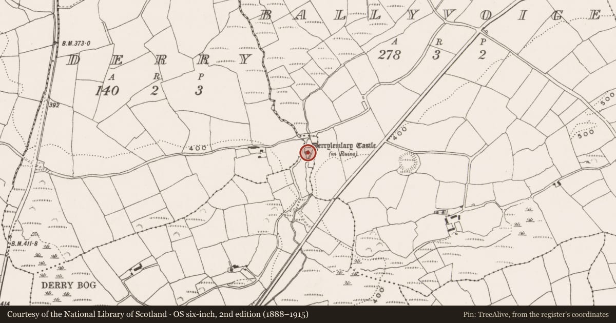 Ordnance Survey six-inch map, 2nd edition (1888–1915) covering the location of Castle - tower house, Castlederry, County Cork, with a pin at the register's coordinates
