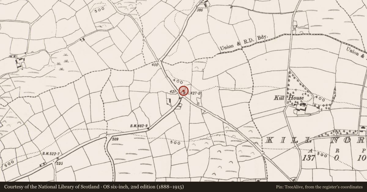 Ordnance Survey six-inch map, 2nd edition (1888–1915) covering the location of Ringfort - rath, Killeen, County Cork, with a pin at the register's coordinates