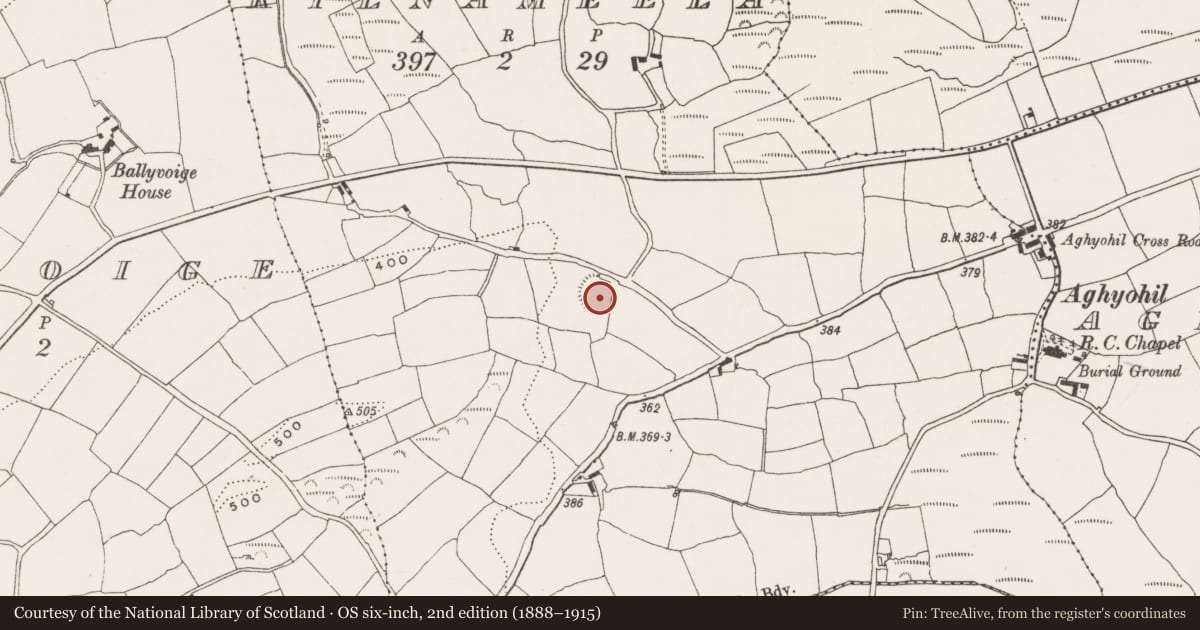Ordnance Survey six-inch map, 2nd edition (1888–1915) covering the location of Ringfort - rath, Kilnameela, County Cork, with a pin at the register's coordinates