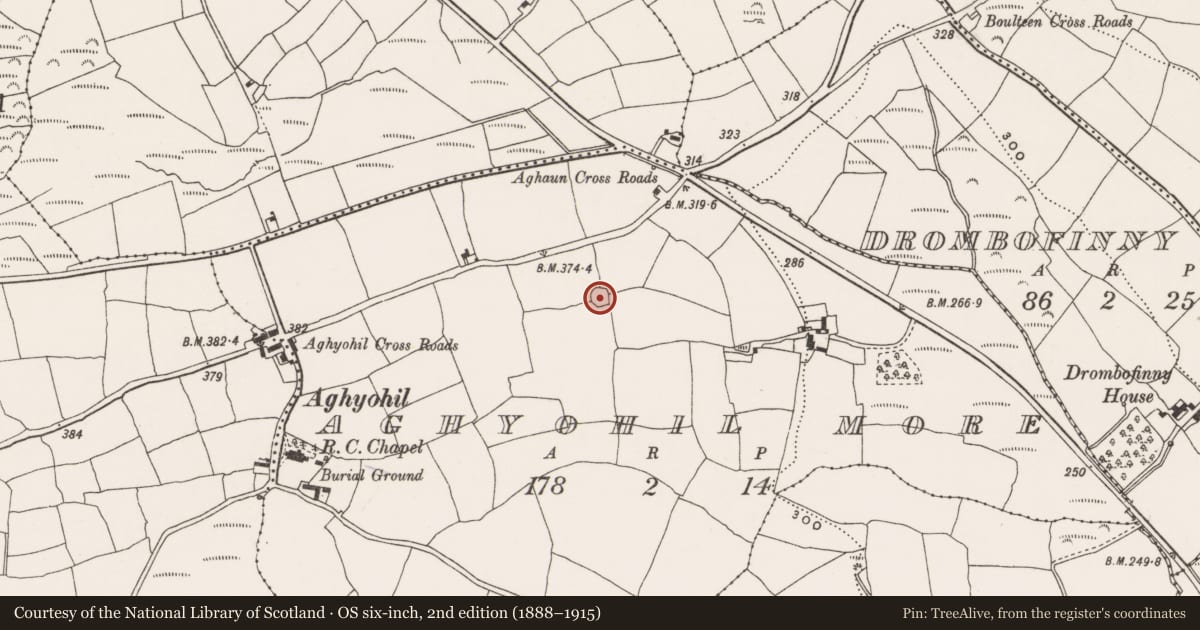 Ordnance Survey six-inch map, 2nd edition (1888–1915) covering the location of Ringfort - rath, Aghyohil More, County Cork, with a pin at the register's coordinates