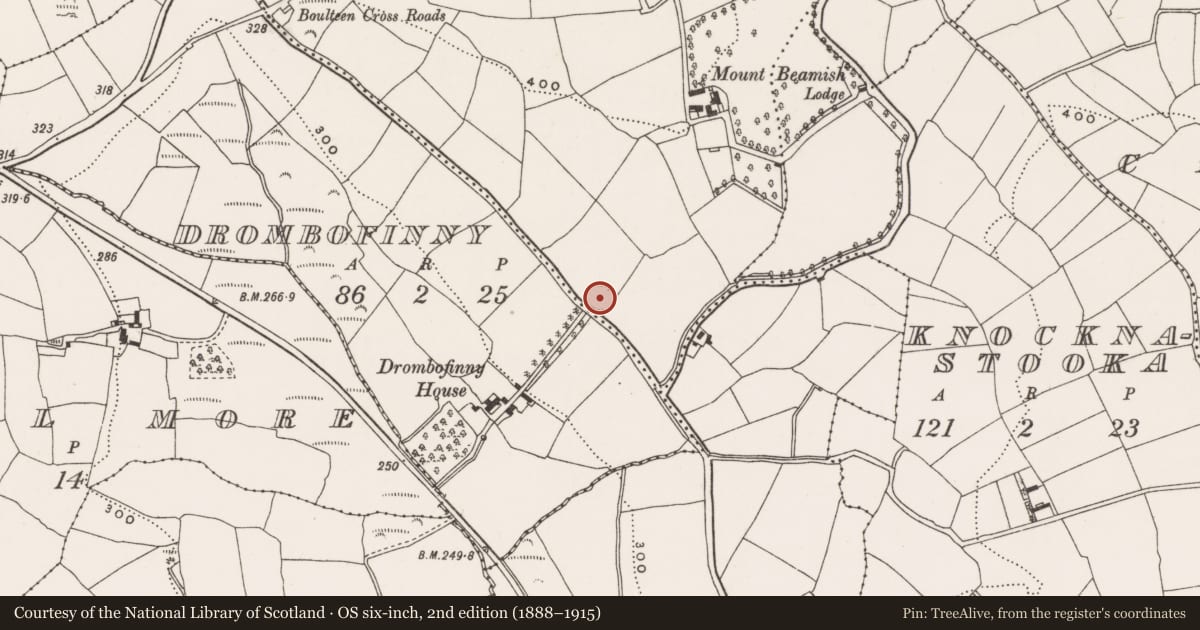 Ordnance Survey six-inch map, 2nd edition (1888–1915) covering the location of Ringfort - rath, Boulteen, County Cork, with a pin at the register's coordinates