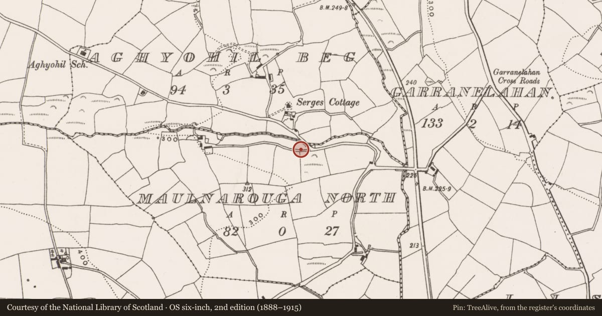 Ordnance Survey six-inch map, 2nd edition (1888–1915) covering the location of Fulacht fia, Maulnarouga North, County Cork, with a pin at the register's coordinates