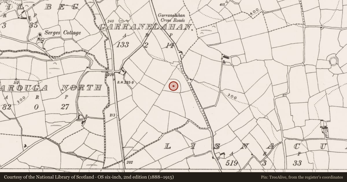 Ordnance Survey six-inch map, 2nd edition (1888–1915) covering the location of Ringfort - rath, Garranelahan, County Cork, with a pin at the register's coordinates