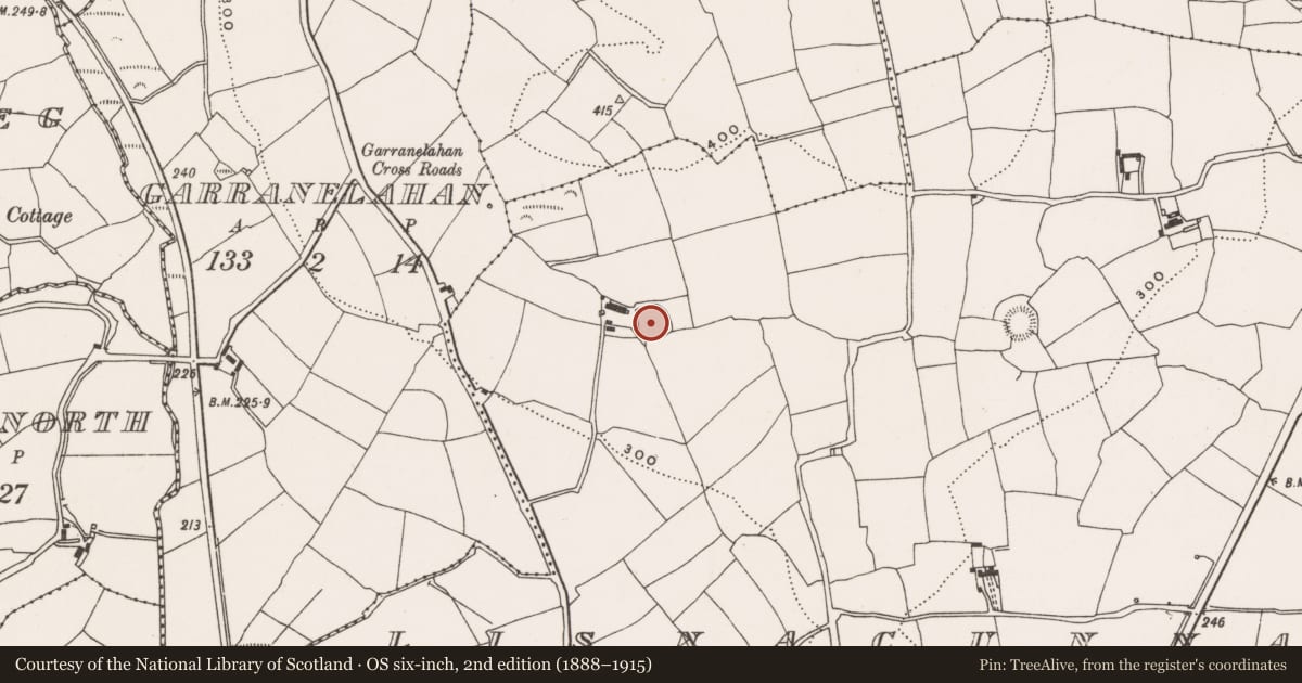 Ordnance Survey six-inch map, 2nd edition (1888–1915) covering the location of Ringfort - rath, Lisnacunna, County Cork, with a pin at the register's coordinates