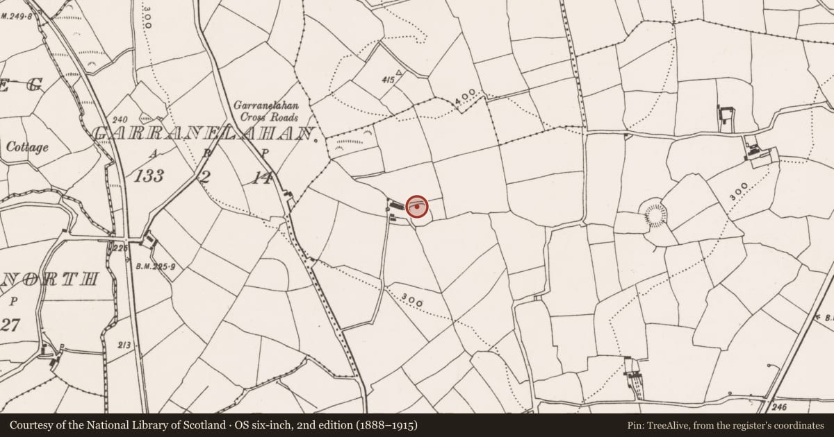Ordnance Survey six-inch map, 2nd edition (1888–1915) covering the location of Souterrain, Lisnacunna, County Cork, with a pin at the register's coordinates