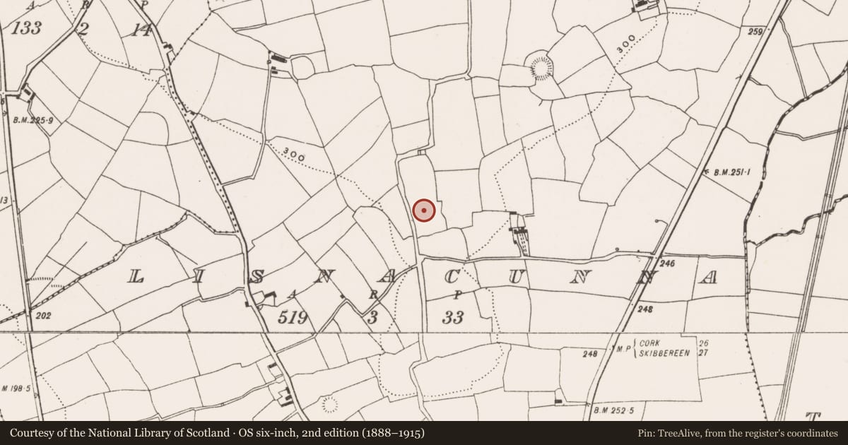 Ordnance Survey six-inch map, 2nd edition (1888–1915) covering the location of Ringfort - rath, Lisnacunna, County Cork, with a pin at the register's coordinates