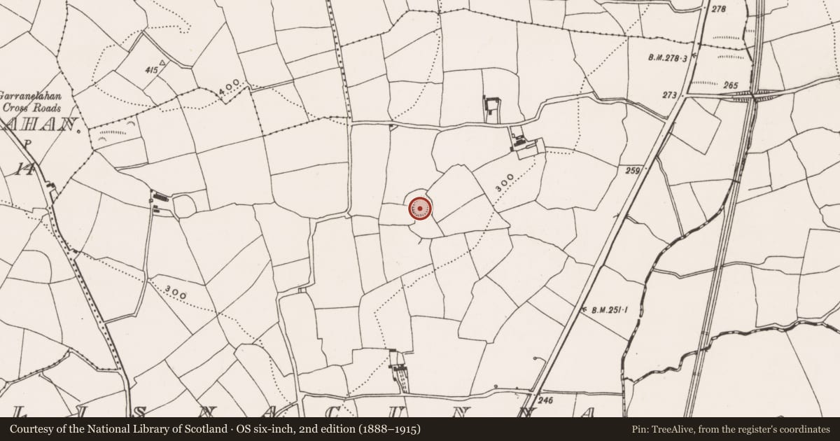 Ordnance Survey six-inch map, 2nd edition (1888–1915) covering the location of Ringfort - rath, Lisnacunna, County Cork, with a pin at the register's coordinates