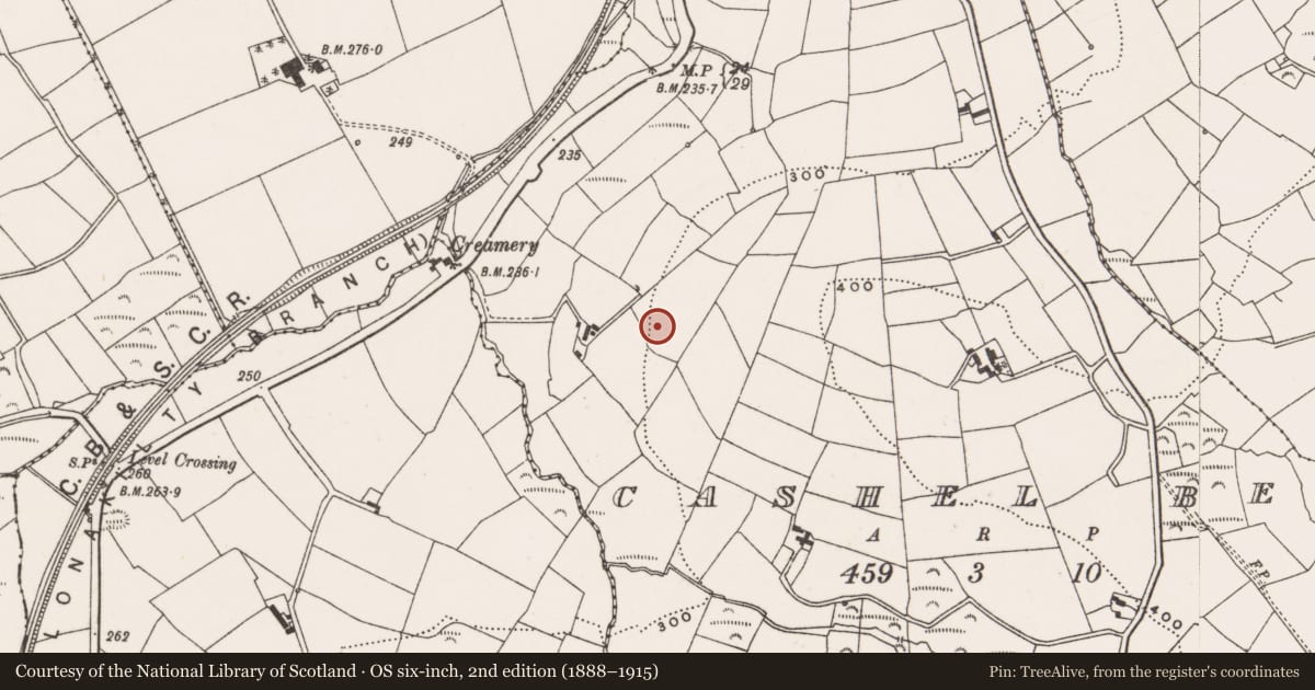 Ordnance Survey six-inch map, 2nd edition (1888–1915) covering the location of Ringfort - rath, Cashel Beg, County Cork, with a pin at the register's coordinates