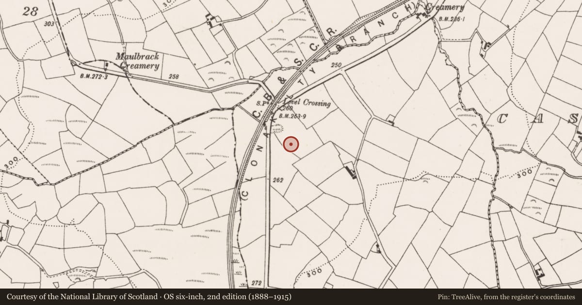 Ordnance Survey six-inch map, 2nd edition (1888–1915) covering the location of Fulacht fia, Cashel More, County Cork, with a pin at the register's coordinates