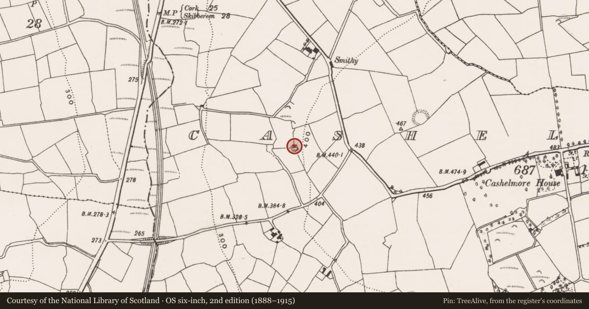 Ordnance Survey six-inch map, 2nd edition (1888–1915) covering the location of Quarry, Cashel More, County Cork, with a pin at the register's coordinates