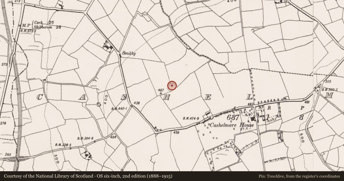 Ordnance Survey six-inch map, 2nd edition (1888–1915) covering the location of Ringfort - rath, Cashel More, County Cork, with a pin at the register's coordinates