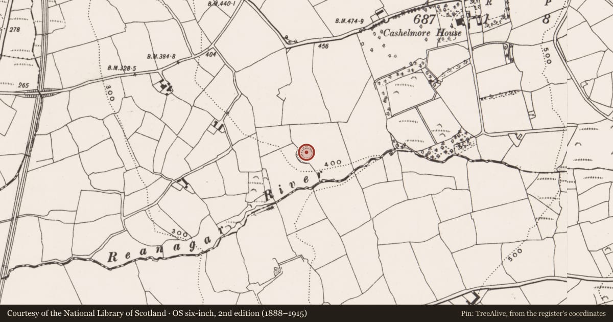 Ordnance Survey six-inch map, 2nd edition (1888–1915) covering the location of Standing stone (present location), Cashel More, County Cork, with a pin at the register's coordinates