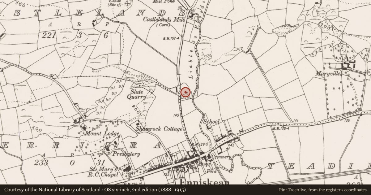 Ordnance Survey six-inch map, 2nd edition (1888–1915) covering the location of School, Castlelands, County Cork, with a pin at the register's coordinates