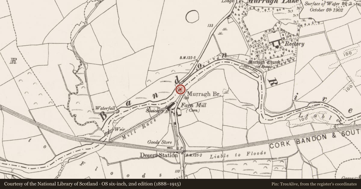 Ordnance Survey six-inch map, 2nd edition (1888–1915) covering the location of Bridge, Farrannasheshery, Murragh, County Cork, with a pin at the register's coordinates