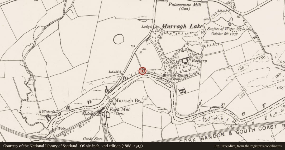 Ordnance Survey six-inch map, 2nd edition (1888–1915) covering the location of Earthwork, Murragh, County Cork, with a pin at the register's coordinates