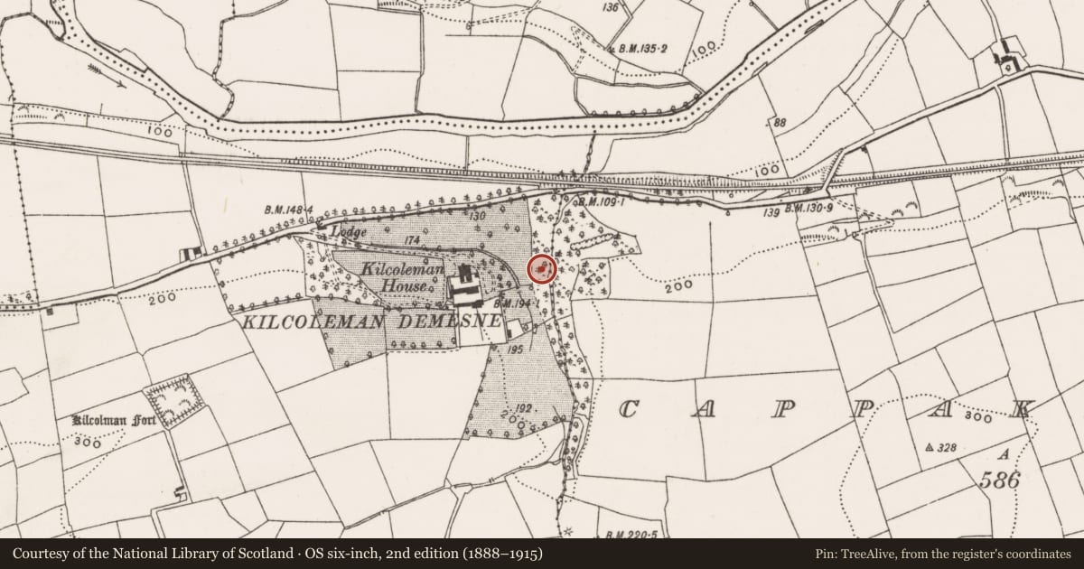 Ordnance Survey six-inch map, 2nd edition (1888–1915) covering the location of Ritual site - holy well, Kilcolman, County Cork, with a pin at the register's coordinates
