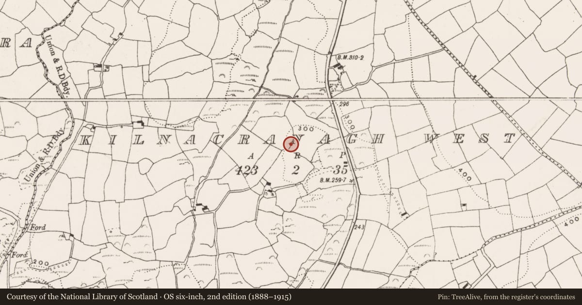 Ordnance Survey six-inch map, 2nd edition (1888–1915) covering the location of Cupmarked stone, Kilnacranagh West, County Cork, with a pin at the register's coordinates