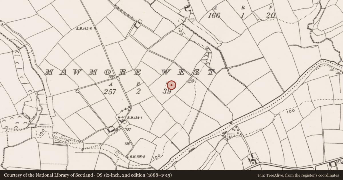 Ordnance Survey six-inch map, 2nd edition (1888–1915) covering the location of Burial ground, Mawmore West, County Cork, with a pin at the register's coordinates