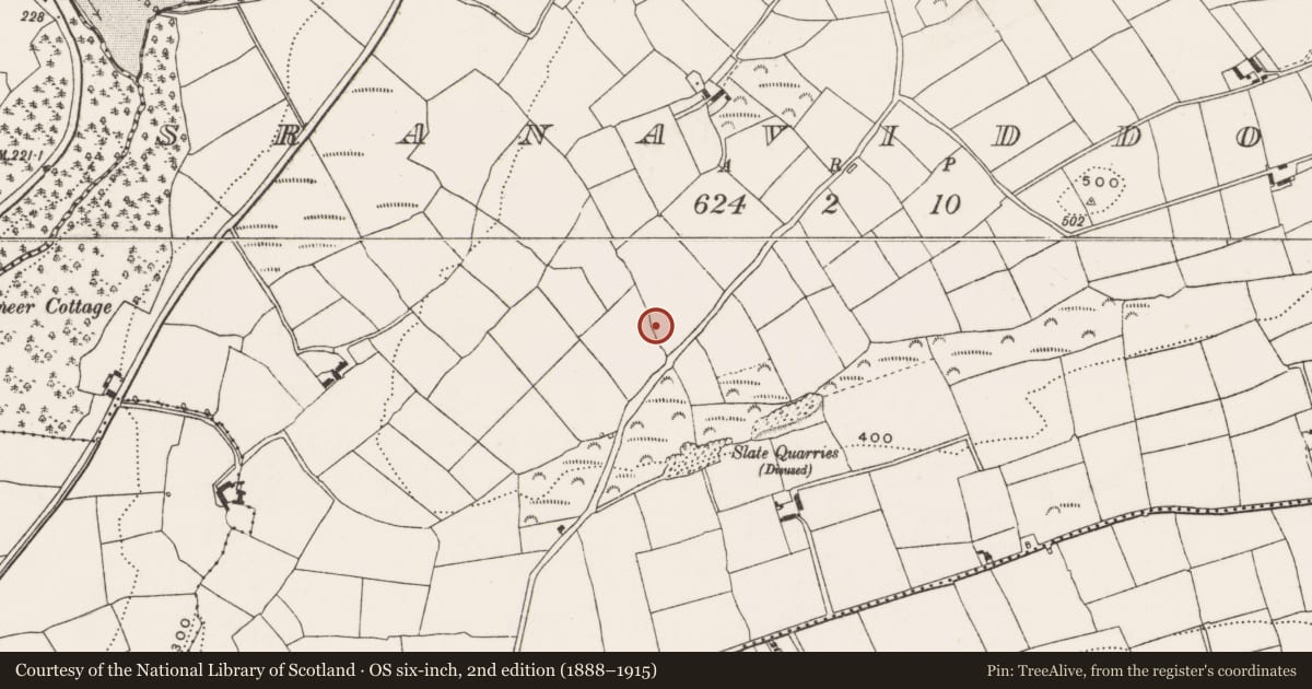 Ordnance Survey six-inch map, 2nd edition (1888–1915) covering the location of Ringfort - rath, Sranaviddoge, County Cork, with a pin at the register's coordinates