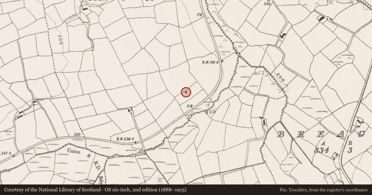 Ordnance Survey six-inch map, 2nd edition (1888–1915) covering the location of Ringfort - rath, Ardkitt East, County Cork, with a pin at the register's coordinates