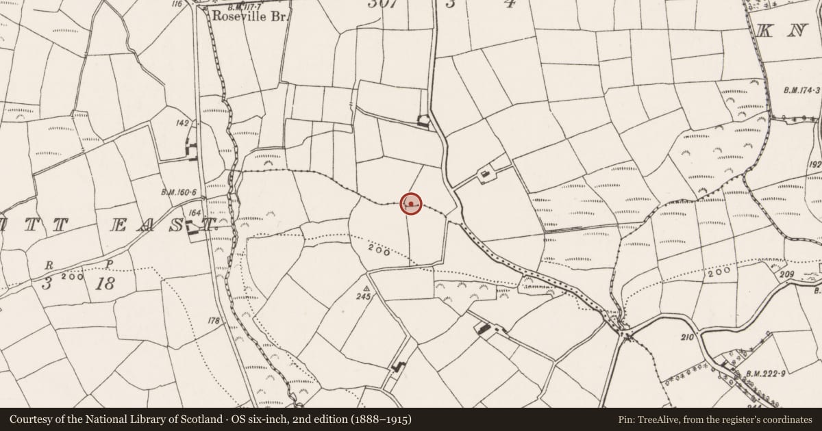 Ordnance Survey six-inch map, 2nd edition (1888–1915) covering the location of Fulacht fia, Farrannasheshery, County Cork, with a pin at the register's coordinates