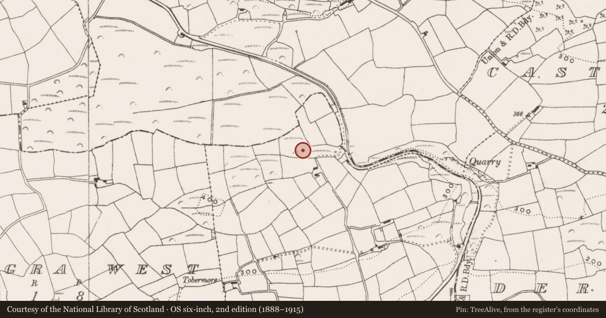 Ordnance Survey six-inch map, 2nd edition (1888–1915) covering the location of Fulacht fia, Derrigra (Carbery East By., Ballymoney Par.), County Cork, with a pin at the register's coordinates
