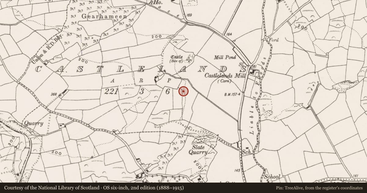Ordnance Survey six-inch map, 2nd edition (1888–1915) covering the location of Burnt mound, Castlelands, County Cork, with a pin at the register's coordinates