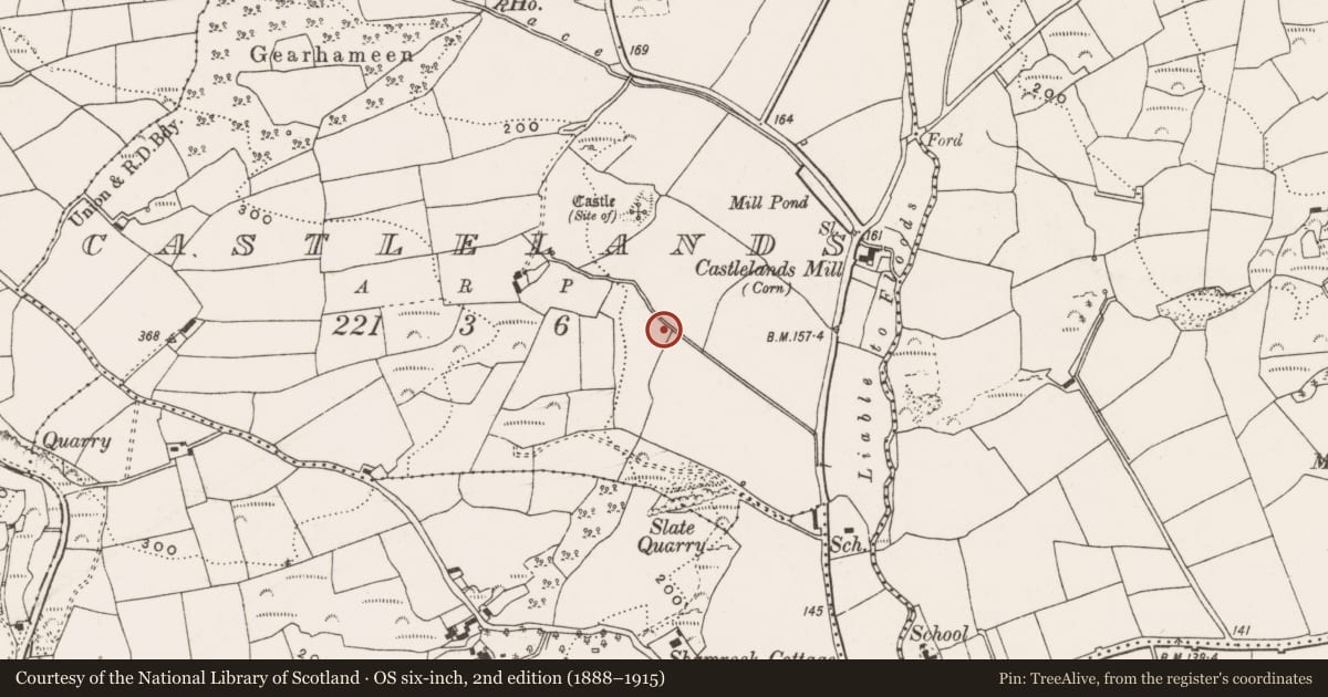 Ordnance Survey six-inch map, 2nd edition (1888–1915) covering the location of Burnt mound, Castlelands, County Cork, with a pin at the register's coordinates