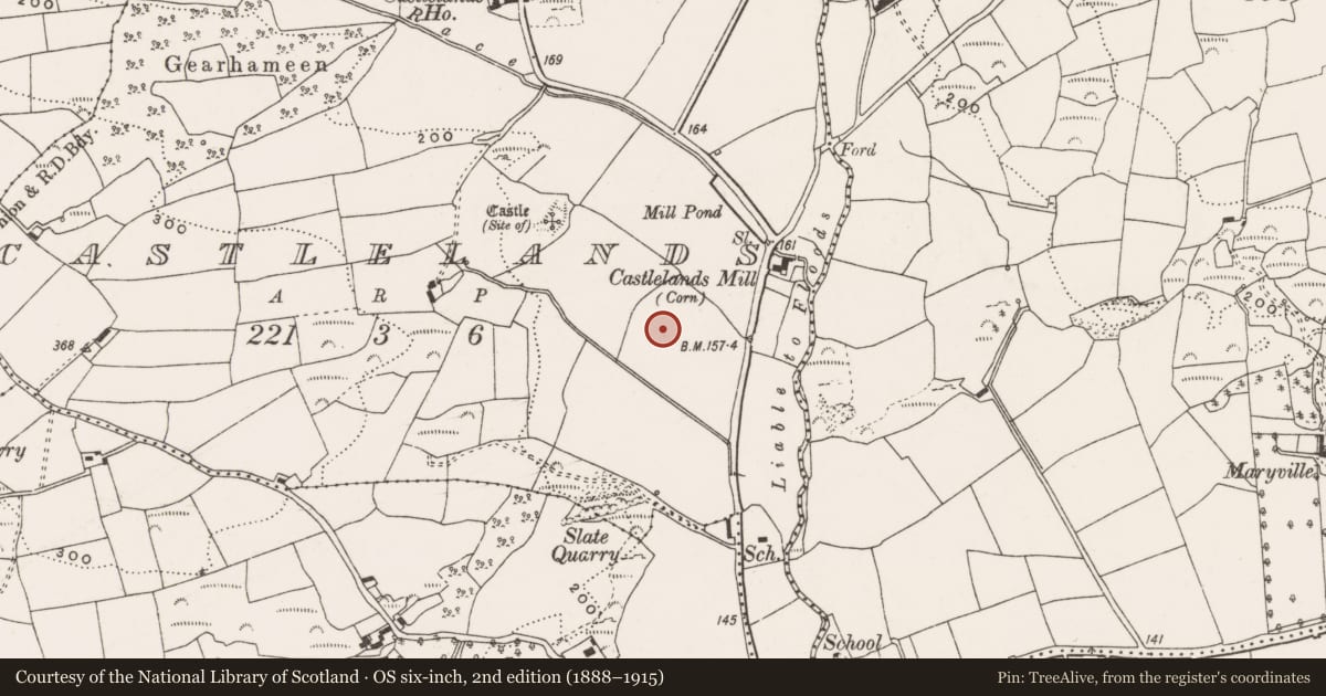 Ordnance Survey six-inch map, 2nd edition (1888–1915) covering the location of Burnt mound, Castlelands, County Cork, with a pin at the register's coordinates
