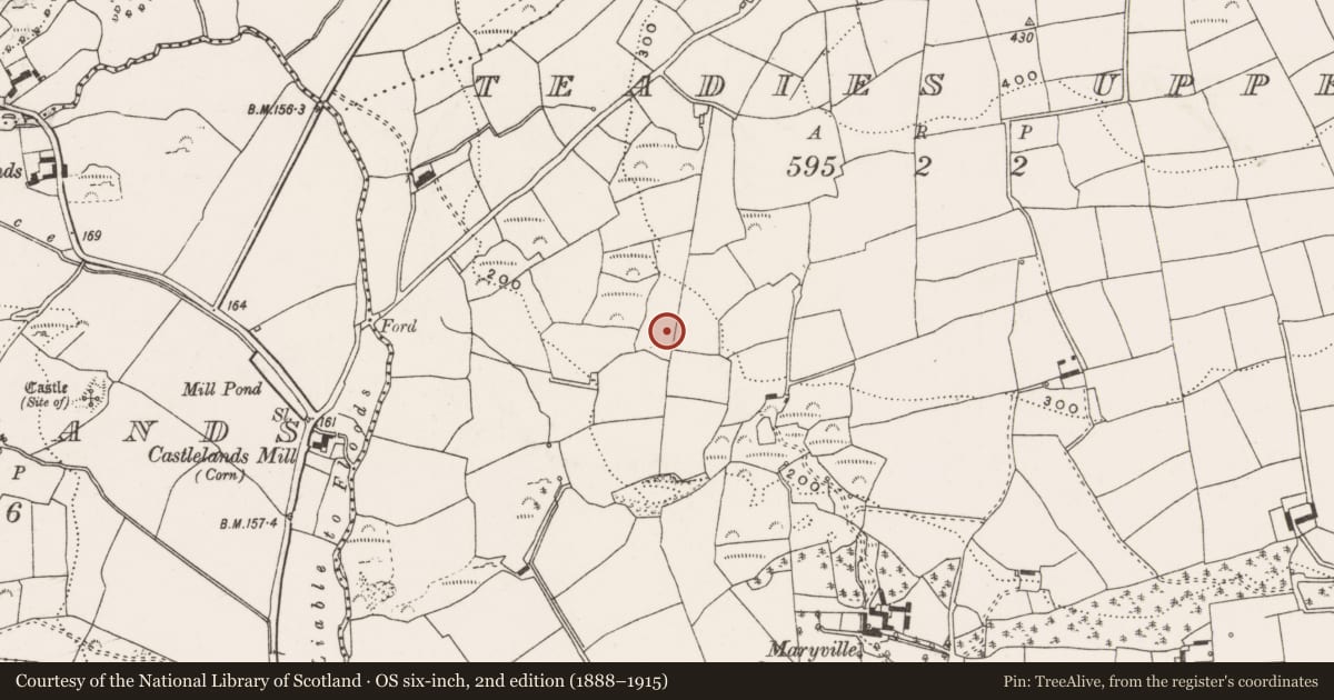 Ordnance Survey six-inch map, 2nd edition (1888–1915) covering the location of Burnt mound, Teadies Upper, County Cork, with a pin at the register's coordinates