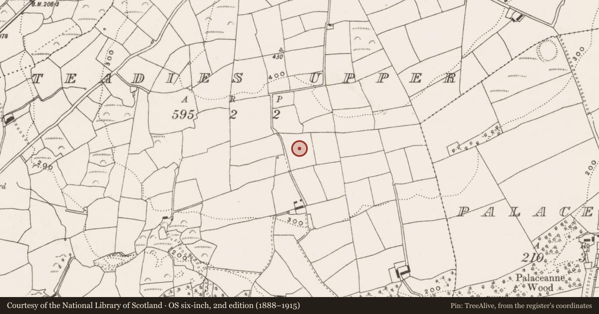 Ordnance Survey six-inch map, 2nd edition (1888–1915) covering the location of Fulacht fia, Teadies Upper, County Cork, with a pin at the register's coordinates
