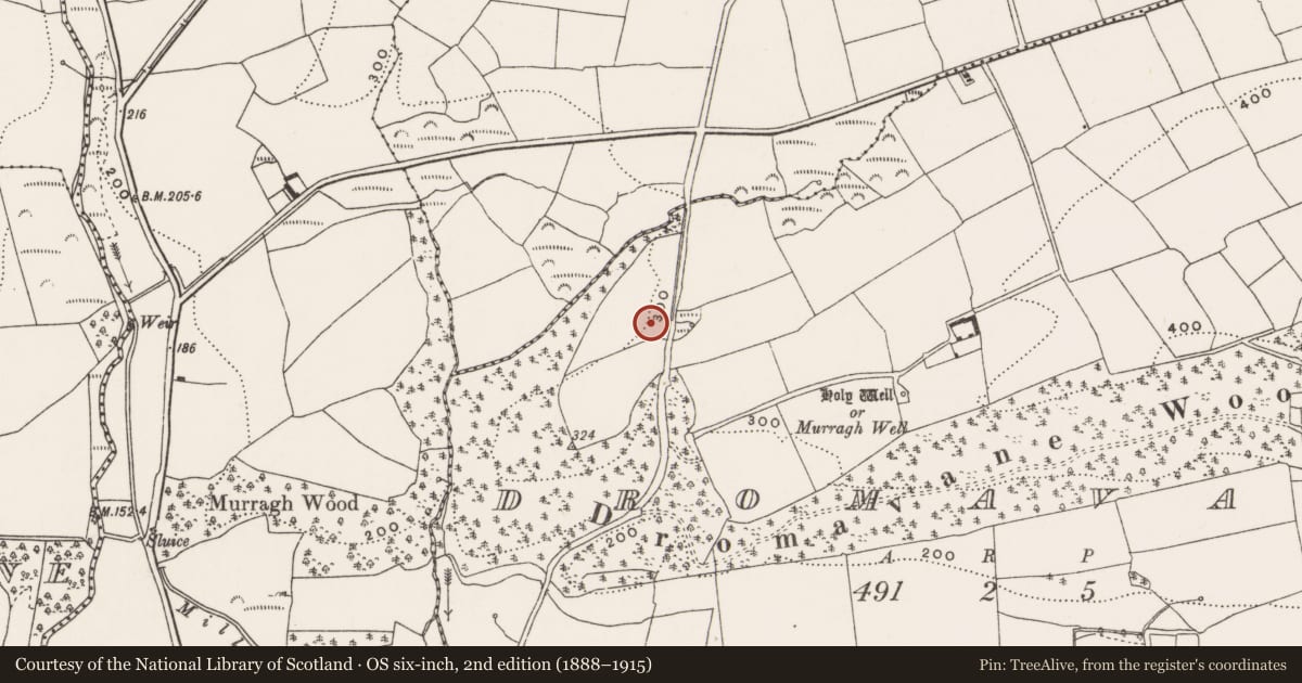 Ordnance Survey six-inch map, 2nd edition (1888–1915) covering the location of Burnt mound, Dromavane, County Cork, with a pin at the register's coordinates