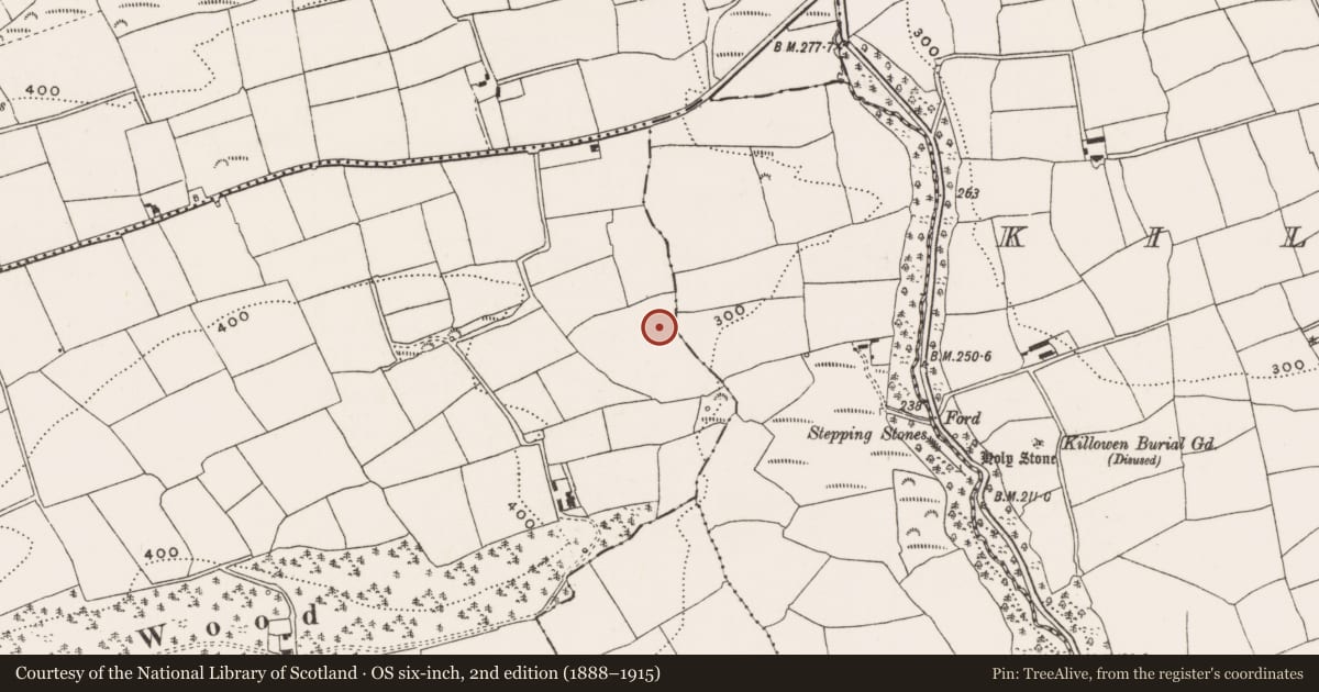 Ordnance Survey six-inch map, 2nd edition (1888–1915) covering the location of Fulacht fia, Dromavane, County Cork, with a pin at the register's coordinates