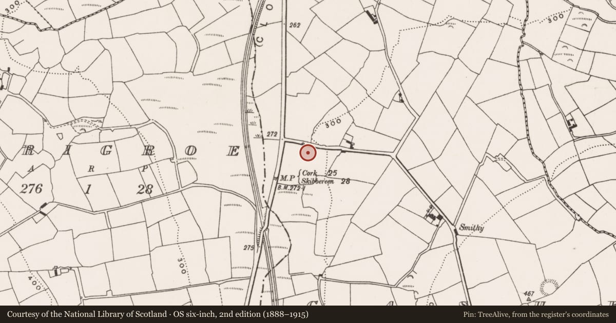 Ordnance Survey six-inch map, 2nd edition (1888–1915) covering the location of Burnt mound, Cashel More, County Cork, with a pin at the register's coordinates