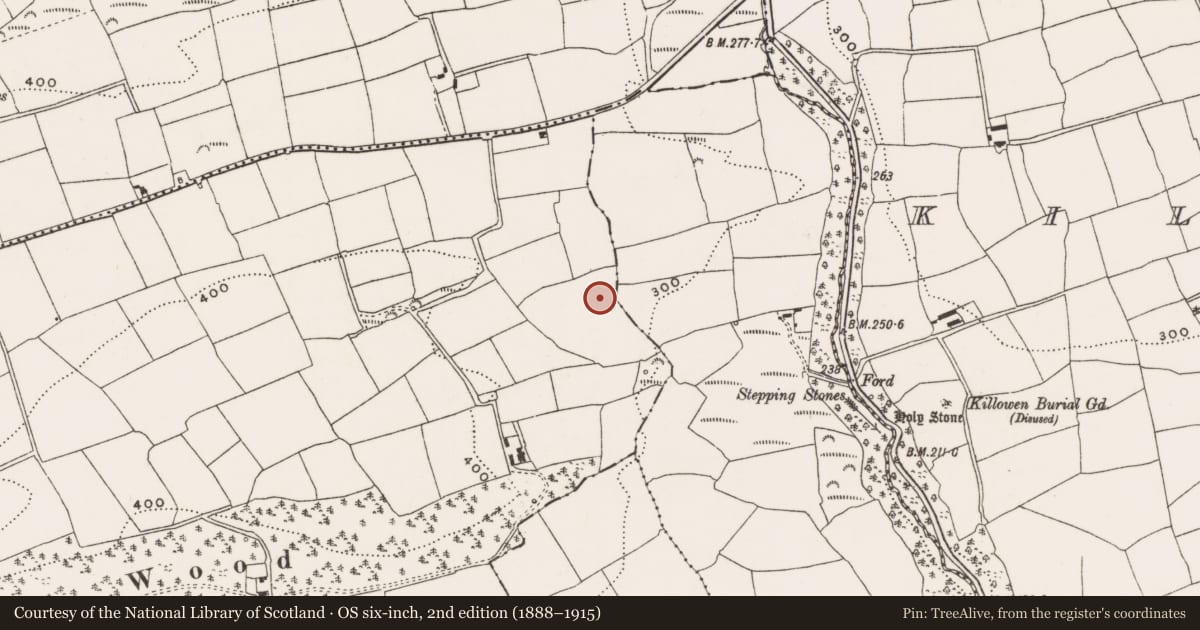 Ordnance Survey six-inch map, 2nd edition (1888–1915) covering the location of Burnt mound, Dromavane, County Cork, with a pin at the register's coordinates