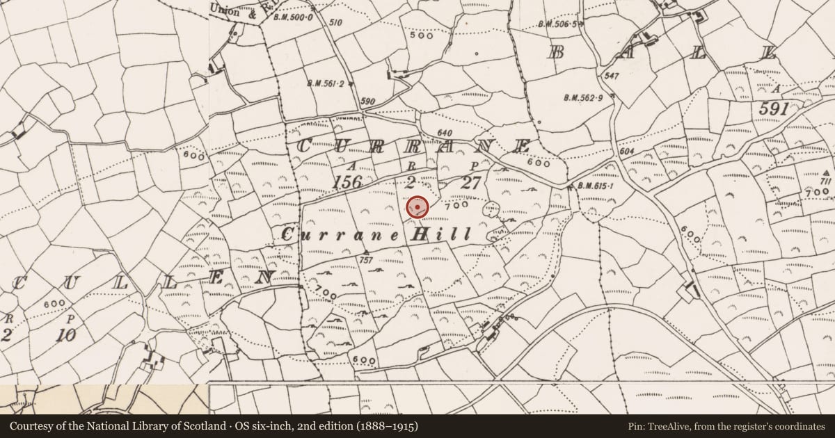 Ordnance Survey six-inch map, 2nd edition (1888–1915) covering the location of Megalithic tomb - unclassified, Currane, County Cork, with a pin at the register's coordinates