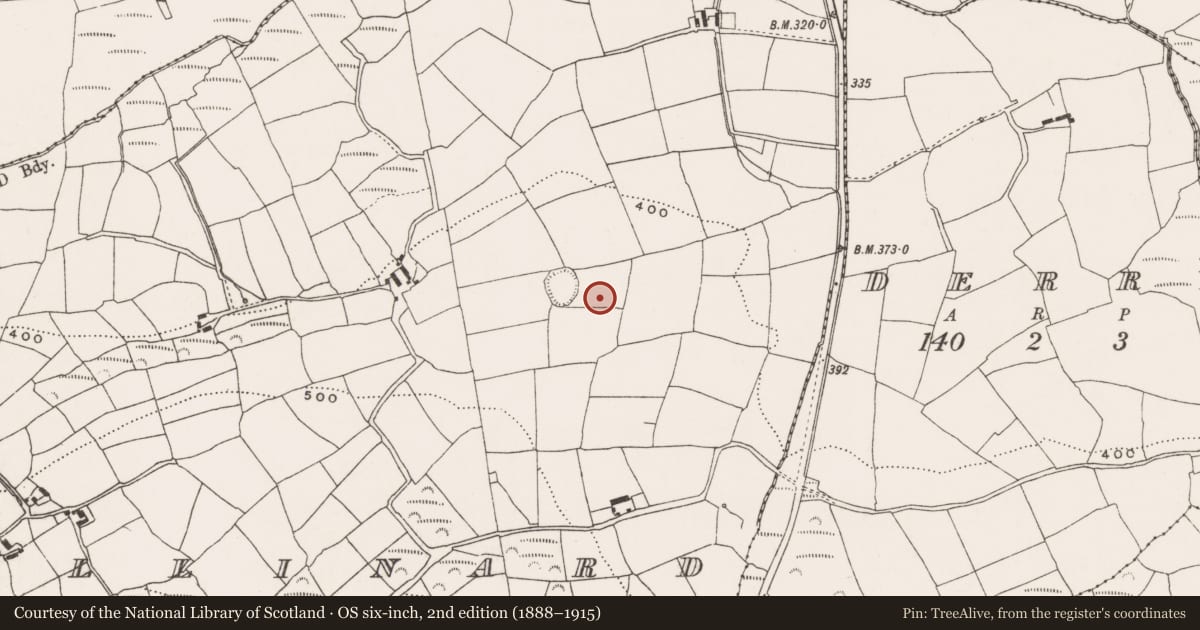 Ordnance Survey six-inch map, 2nd edition (1888–1915) covering the location of Cairn - unclassified, Ballinard, County Cork, with a pin at the register's coordinates
