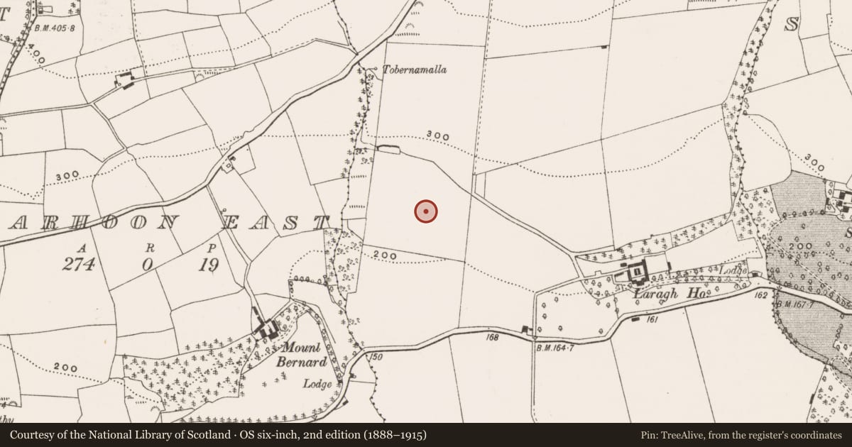 Ordnance Survey six-inch map, 2nd edition (1888–1915) covering the location of Fulacht fia, Laragh, County Cork, with a pin at the register's coordinates