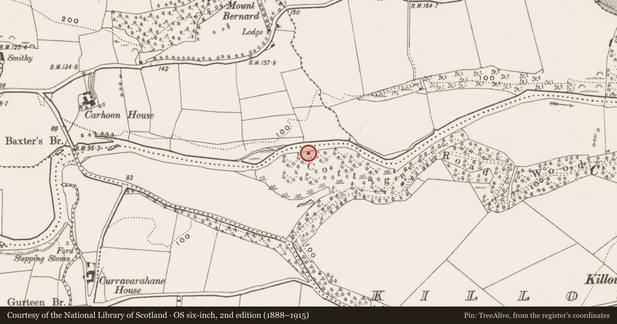 Ordnance Survey six-inch map, 2nd edition (1888–1915) covering the location of Standing stone, Killountain, County Cork, with a pin at the register's coordinates