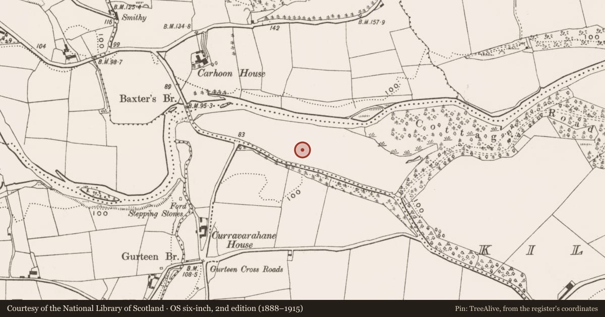 Ordnance Survey six-inch map, 2nd edition (1888–1915) covering the location of Pit-burial, Killountain, County Cork, with a pin at the register's coordinates