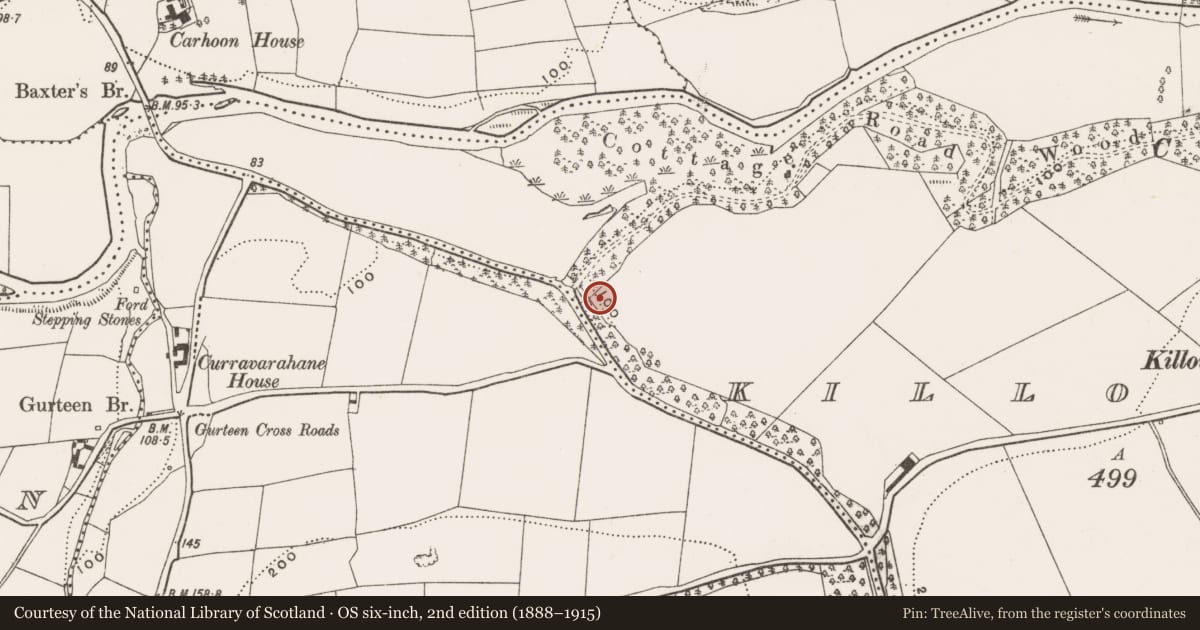 Ordnance Survey six-inch map, 2nd edition (1888–1915) covering the location of Quarry, Killountain, County Cork, with a pin at the register's coordinates