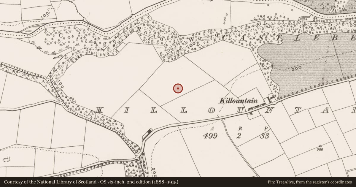 Ordnance Survey six-inch map, 2nd edition (1888–1915) covering the location of Church, Killountain, County Cork, with a pin at the register's coordinates
