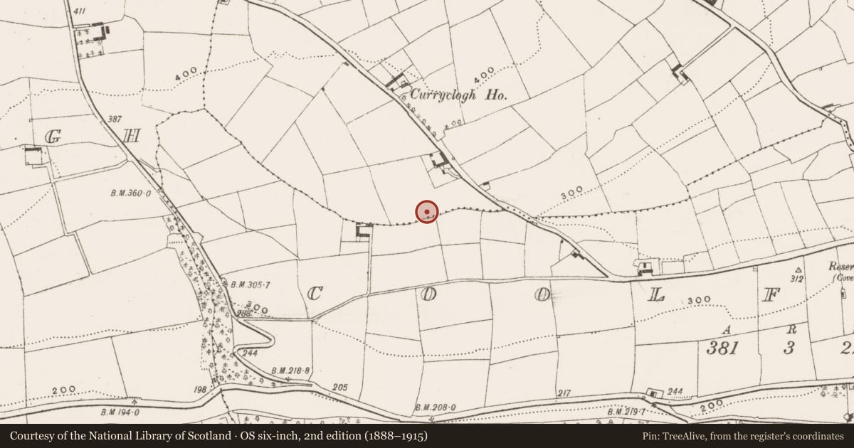 Ordnance Survey six-inch map, 2nd edition (1888–1915) covering the location of Fulacht fia, Curryclogh, County Cork, with a pin at the register's coordinates