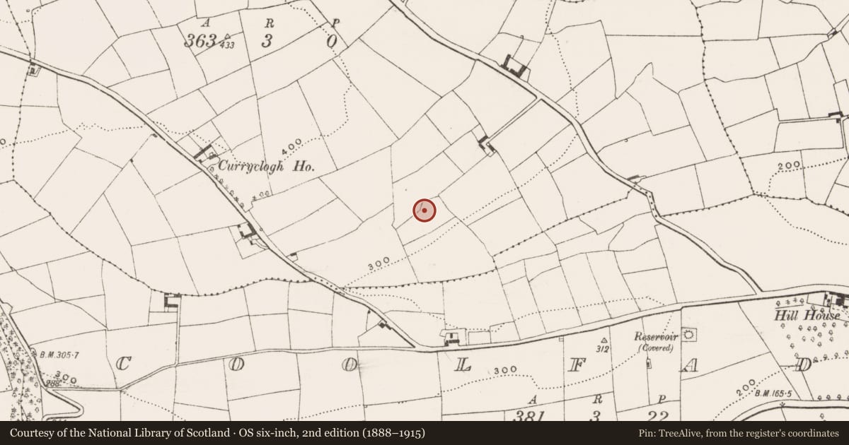 Ordnance Survey six-inch map, 2nd edition (1888–1915) covering the location of Ringfort - rath, Curryclogh, County Cork, with a pin at the register's coordinates