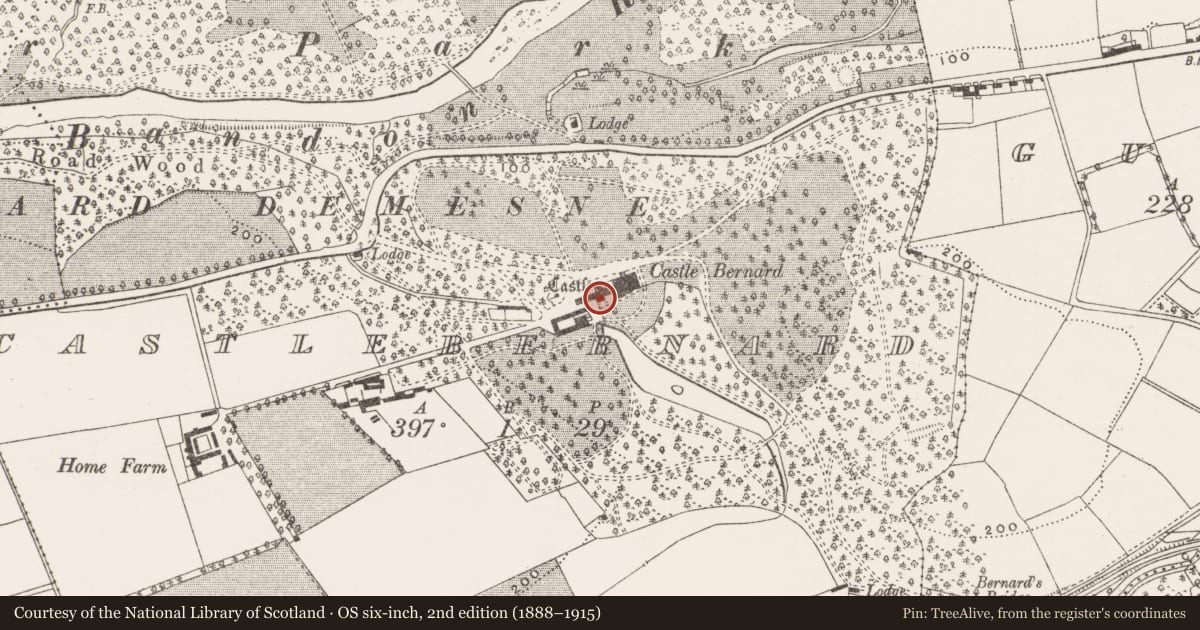 Ordnance Survey six-inch map, 2nd edition (1888–1915) covering the location of Castle - tower house, Castlebernard, County Cork, with a pin at the register's coordinates