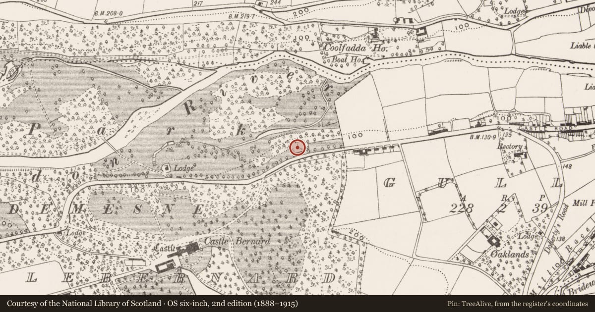 Ordnance Survey six-inch map, 2nd edition (1888–1915) covering the location of Quarry, Castlebernard, County Cork, with a pin at the register's coordinates