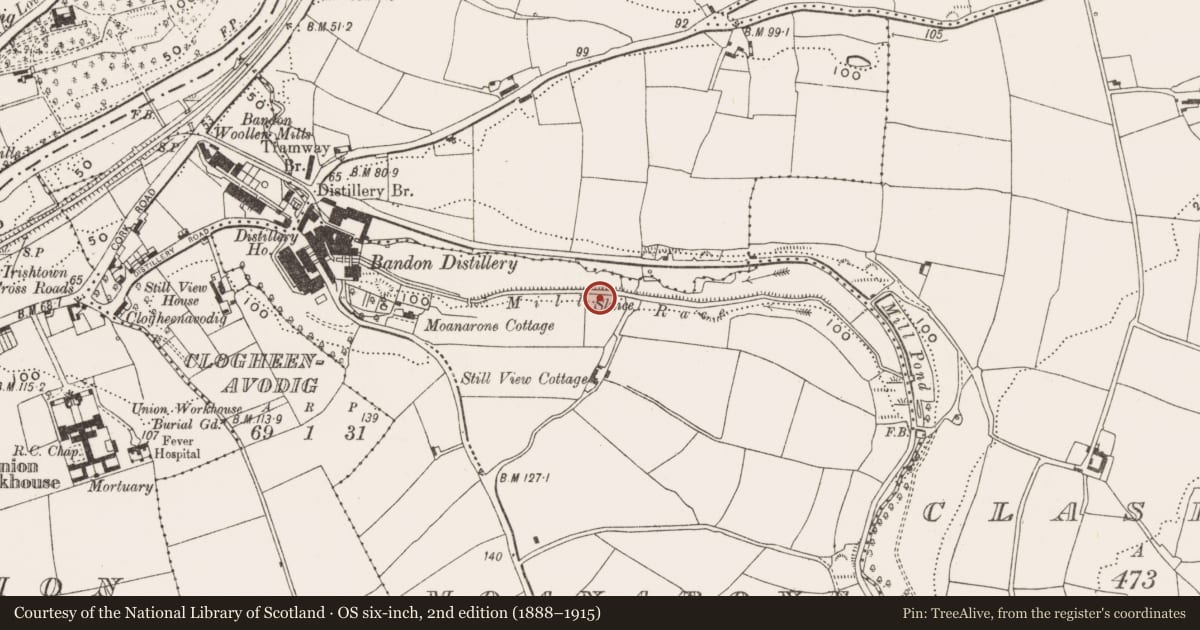 Ordnance Survey six-inch map, 2nd edition (1888–1915) covering the location of Ringfort - rath, Moanarone, County Cork, with a pin at the register's coordinates