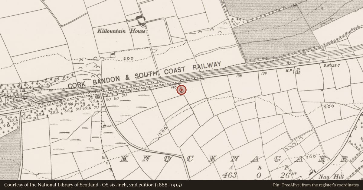 Ordnance Survey six-inch map, 2nd edition (1888–1915) covering the location of Mill - corn, Knocknagarrane, County Cork, with a pin at the register's coordinates