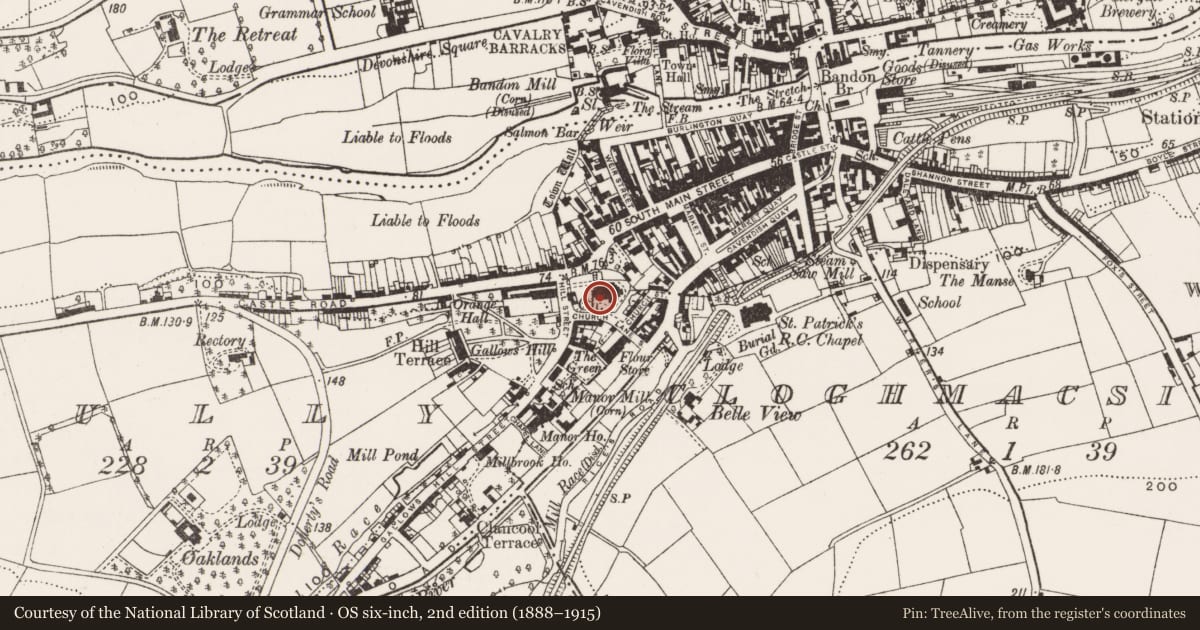 Ordnance Survey six-inch map, 2nd edition (1888–1915) covering the location of Graveyard, Gully, County Cork, with a pin at the register's coordinates