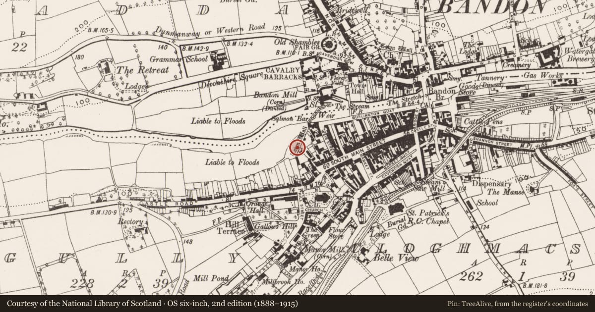 Ordnance Survey six-inch map, 2nd edition (1888–1915) covering the location of Town defences, Gully, County Cork, with a pin at the register's coordinates